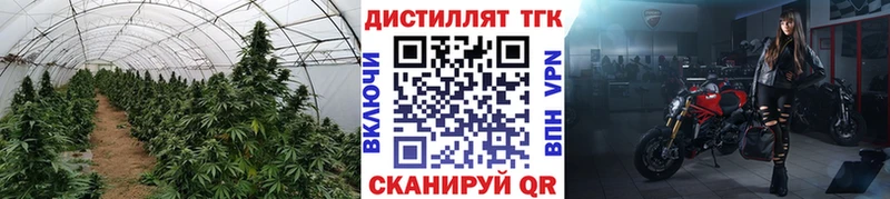 kraken   Реж  ТГК гашишное масло  как найти наркотики 