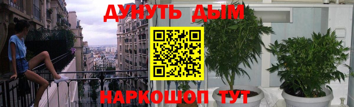 Реж  Бошки Шишки конопля  Вход с VPN  Бошки Шишки Ganja  Марихуана OG Kush 